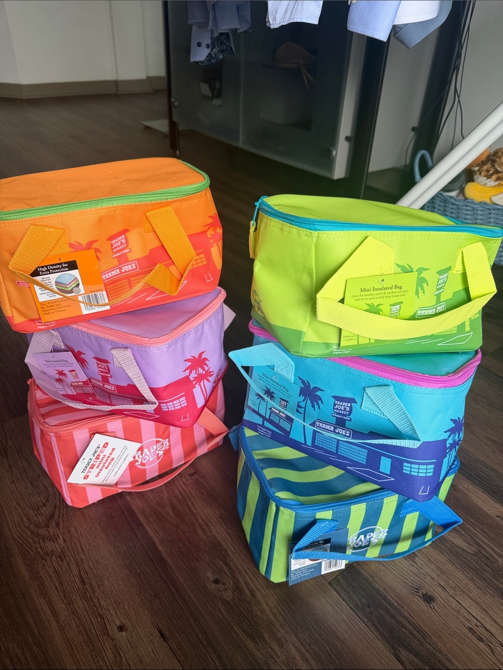 Trader Joe's Aqua Insulated Lunch Tote